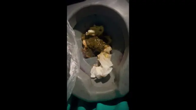 🚽 Public Toilet Collection 🚽